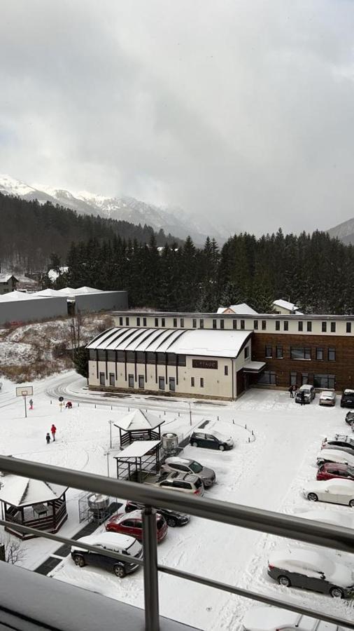 Coca Apart Mountain View Sinaia Extérieur photo