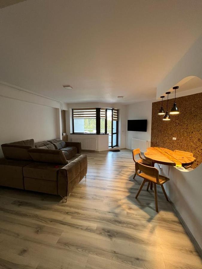 Coca Apart Mountain View Sinaia Extérieur photo