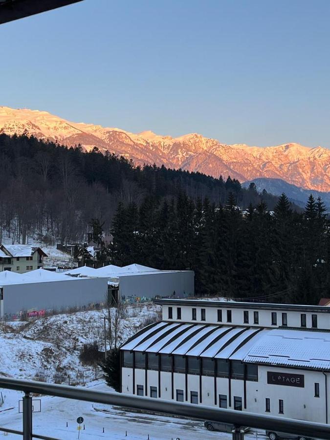 Coca Apart Mountain View Sinaia Extérieur photo