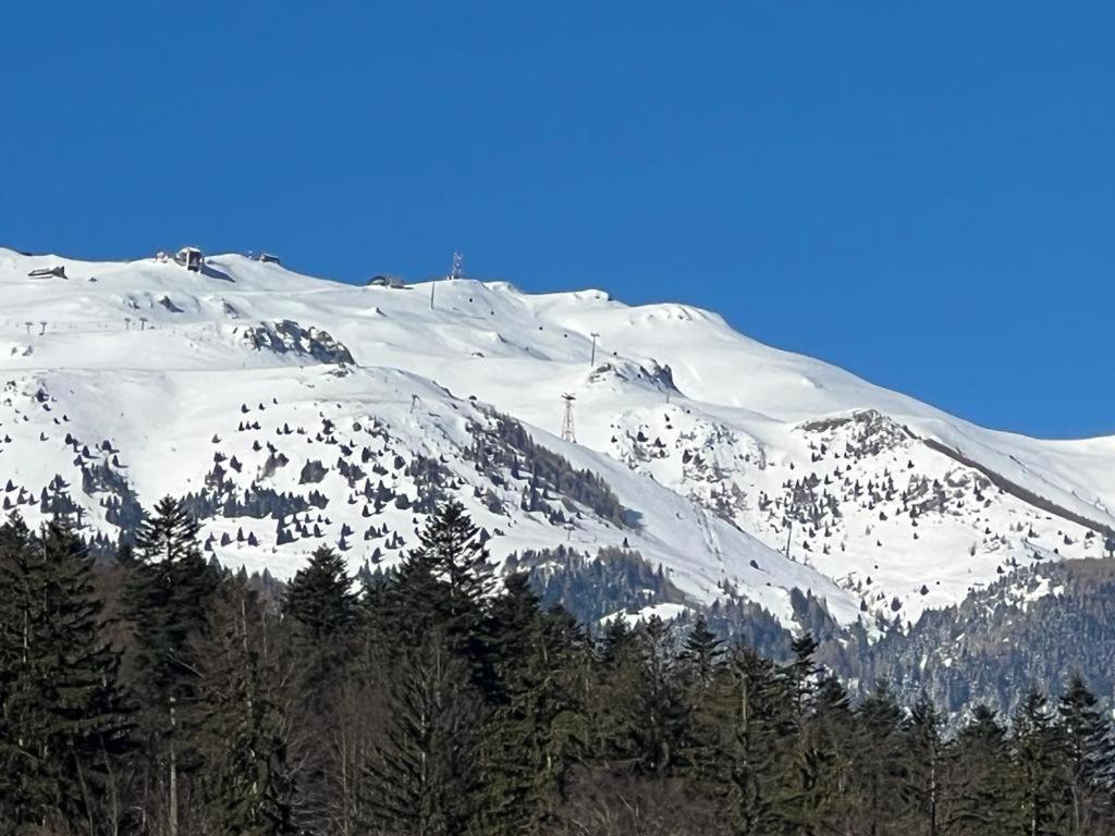 Coca Apart Mountain View Sinaia Extérieur photo