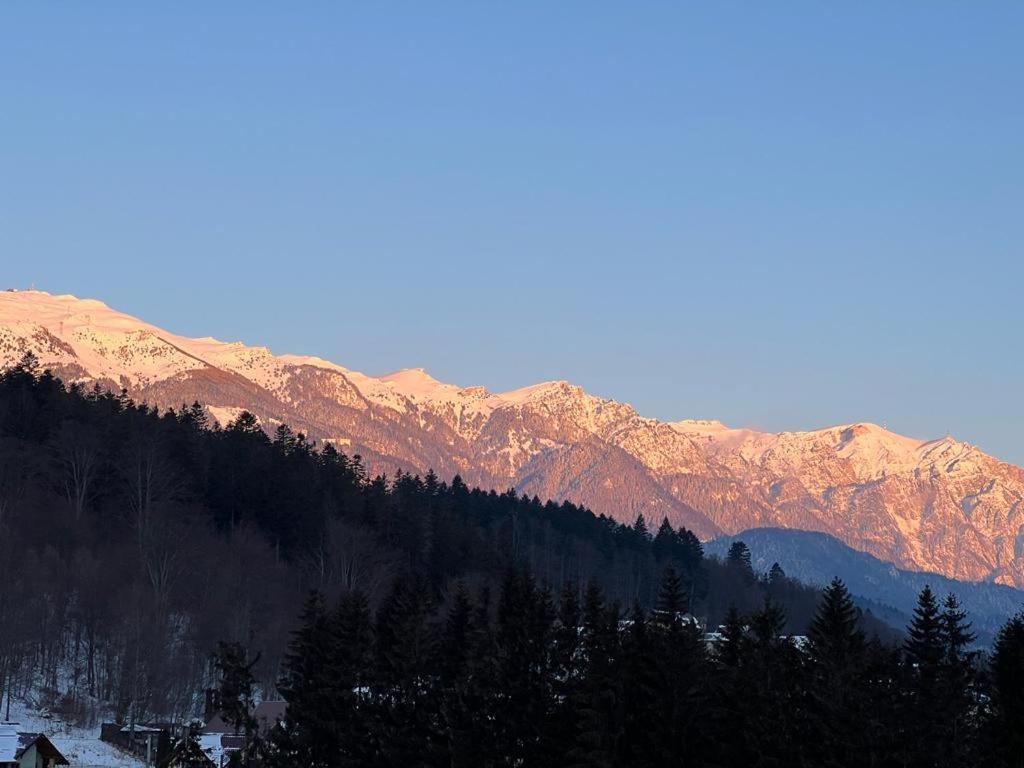 Coca Apart Mountain View Sinaia Extérieur photo