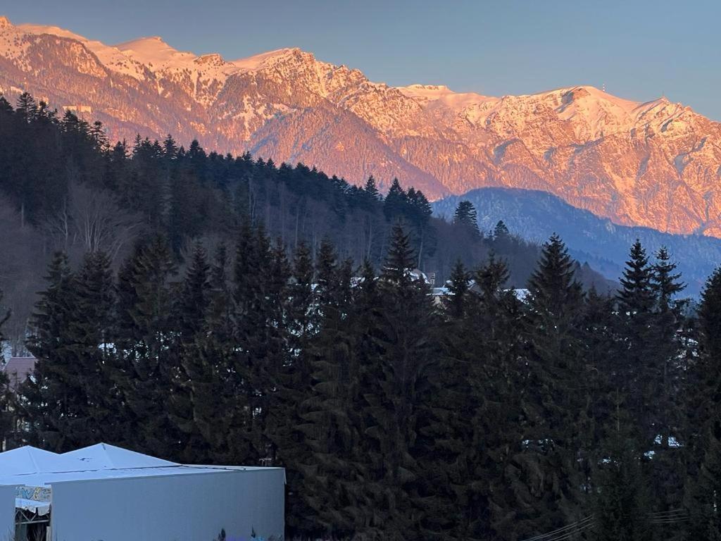 Coca Apart Mountain View Sinaia Extérieur photo