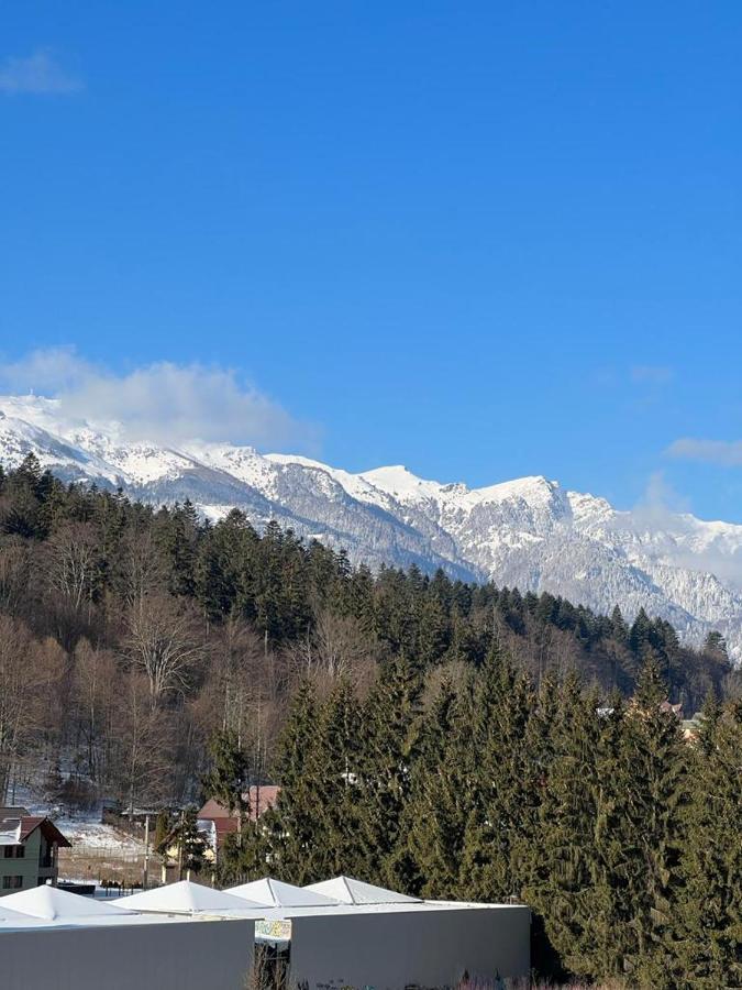 Coca Apart Mountain View Sinaia Extérieur photo