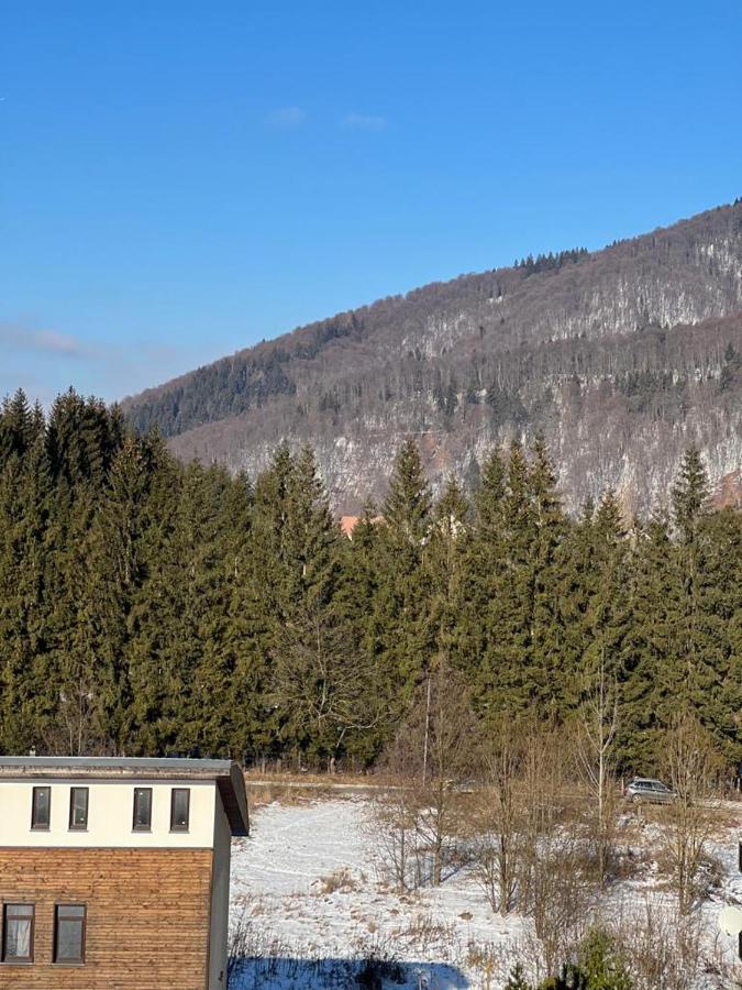 Coca Apart Mountain View Sinaia Extérieur photo