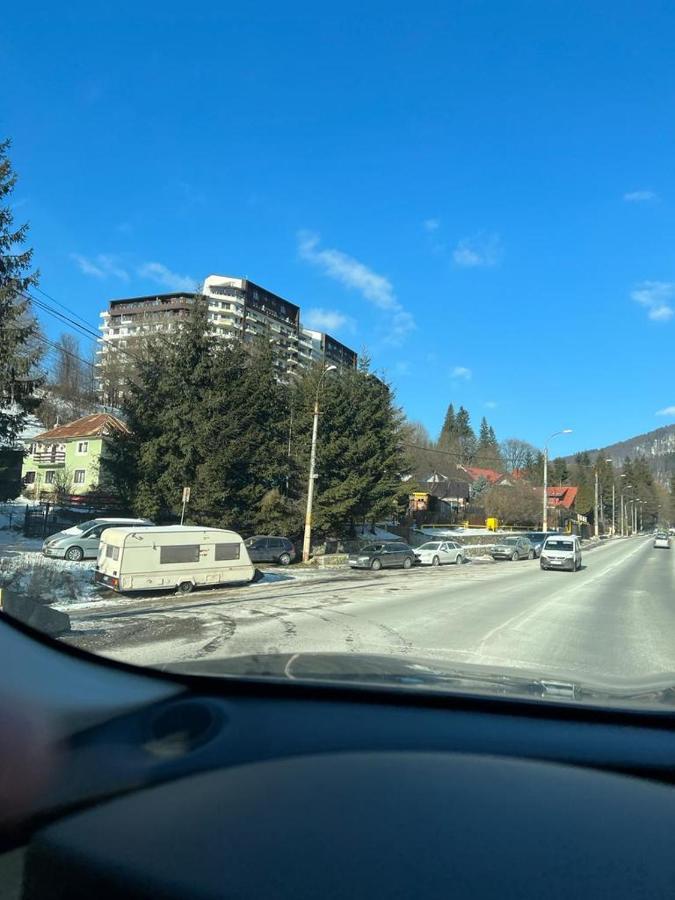 Coca Apart Mountain View Sinaia Extérieur photo