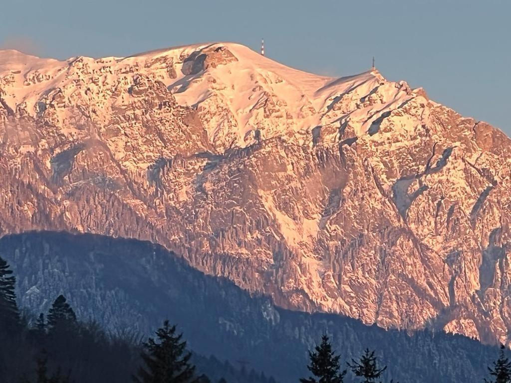 Coca Apart Mountain View Sinaia Extérieur photo