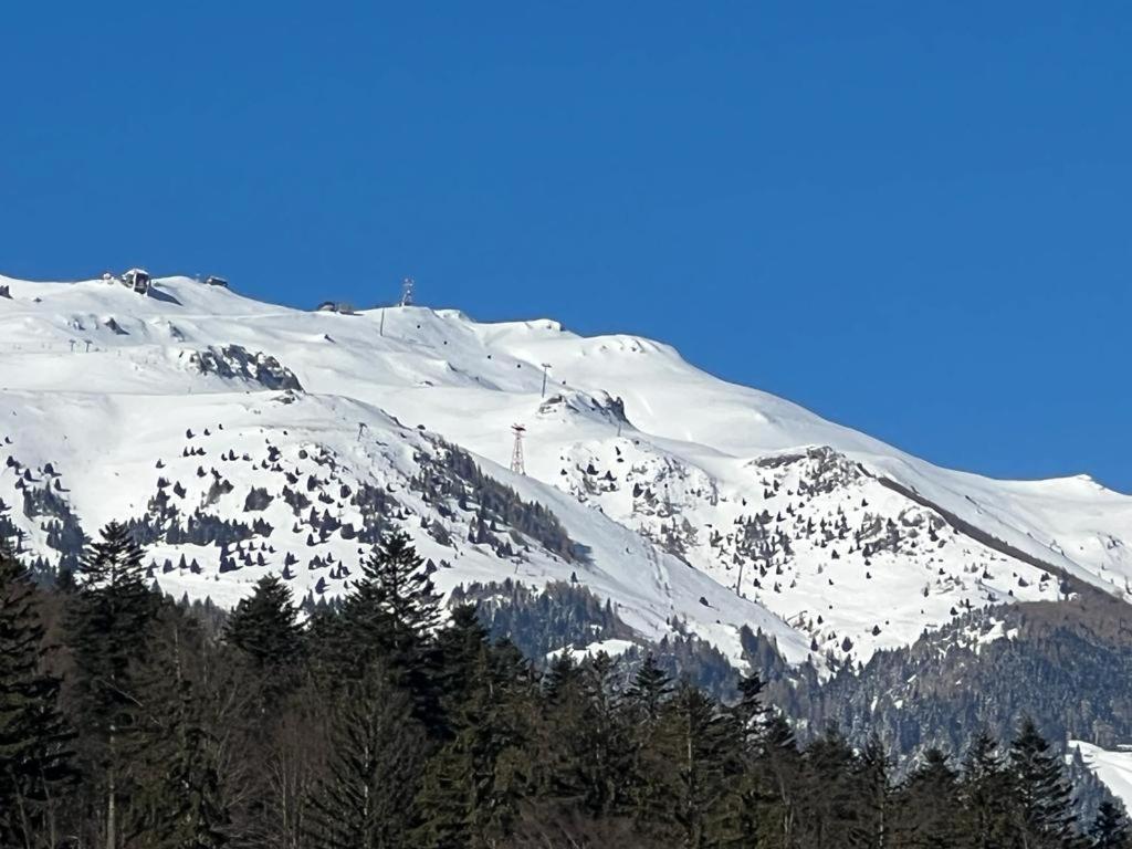 Coca Apart Mountain View Sinaia Extérieur photo
