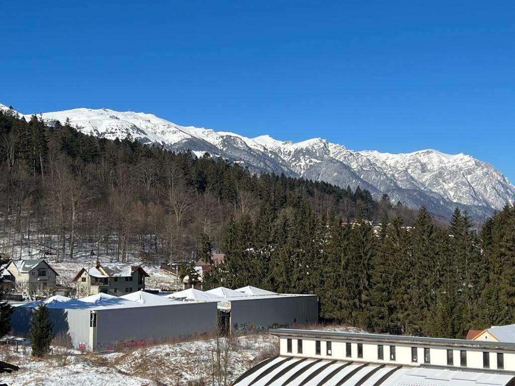 Coca Apart Mountain View Sinaia Extérieur photo